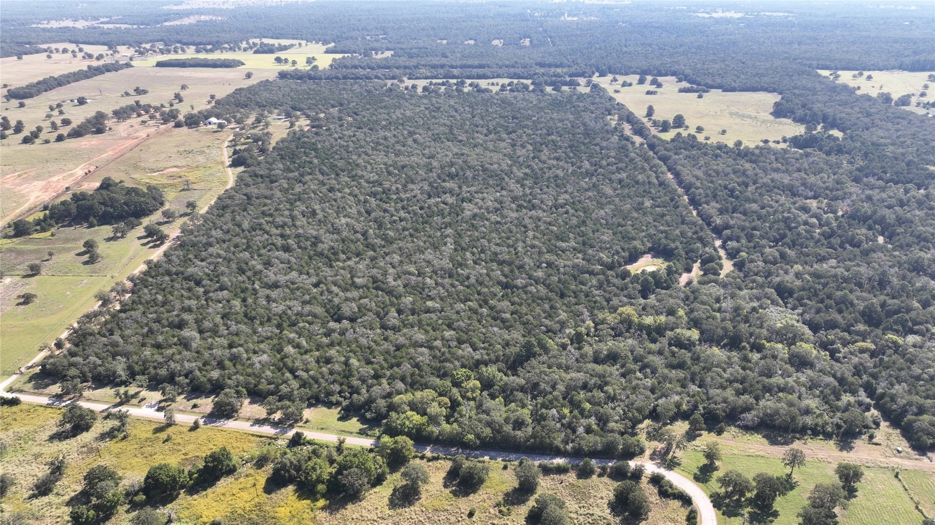 163.16 acres in Bastrop County - photo 2