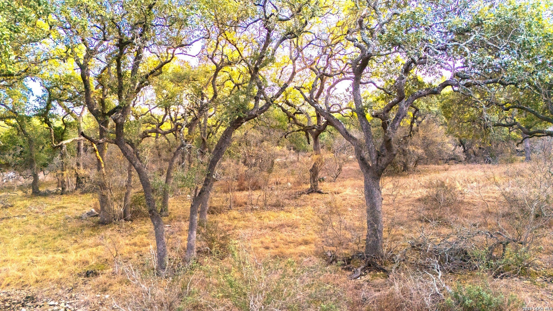 10.39 acres in Comal County - photo 9