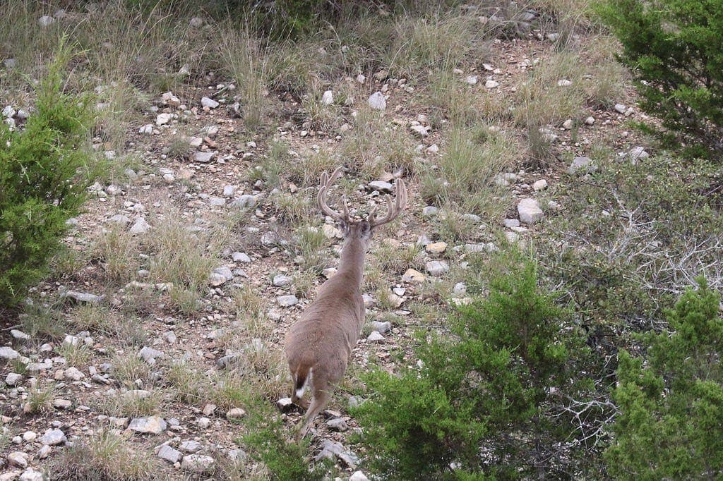 800 acres in Kimble County - photo 49