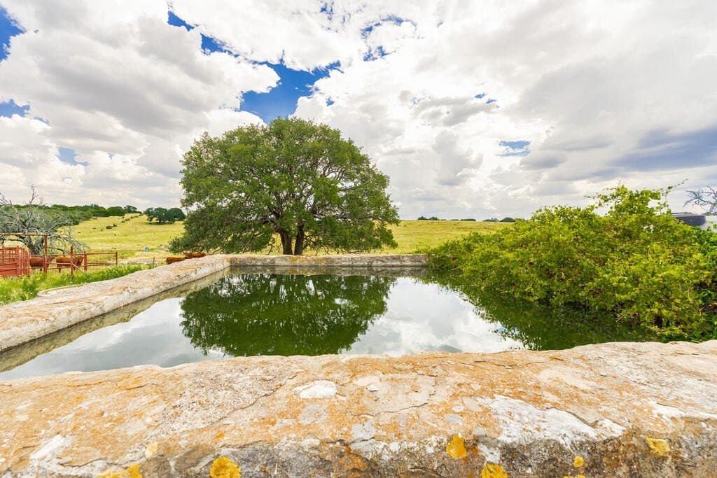 800 acres in Kimble County - photo 46