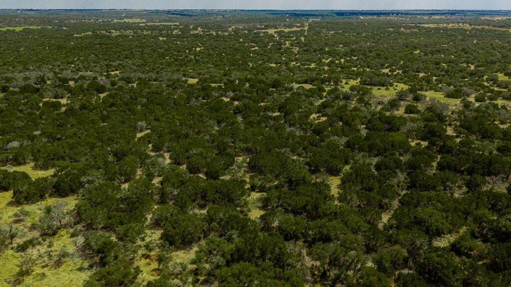 800 acres in Kimble County - photo 11