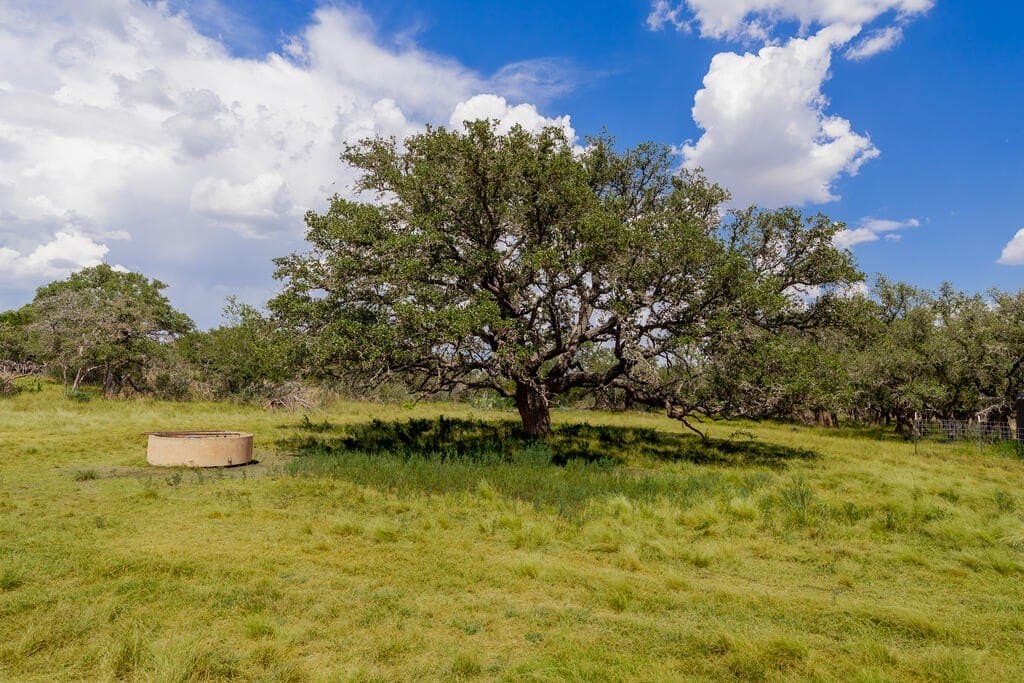 800 acres in Kimble County - photo 44