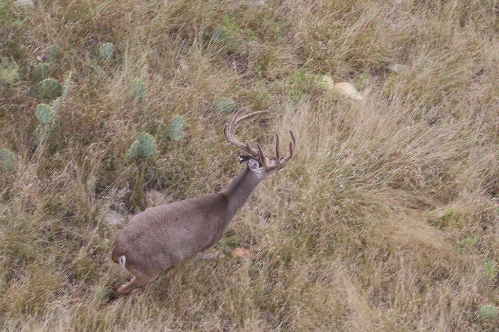 800 acres in Kimble County - photo 51
