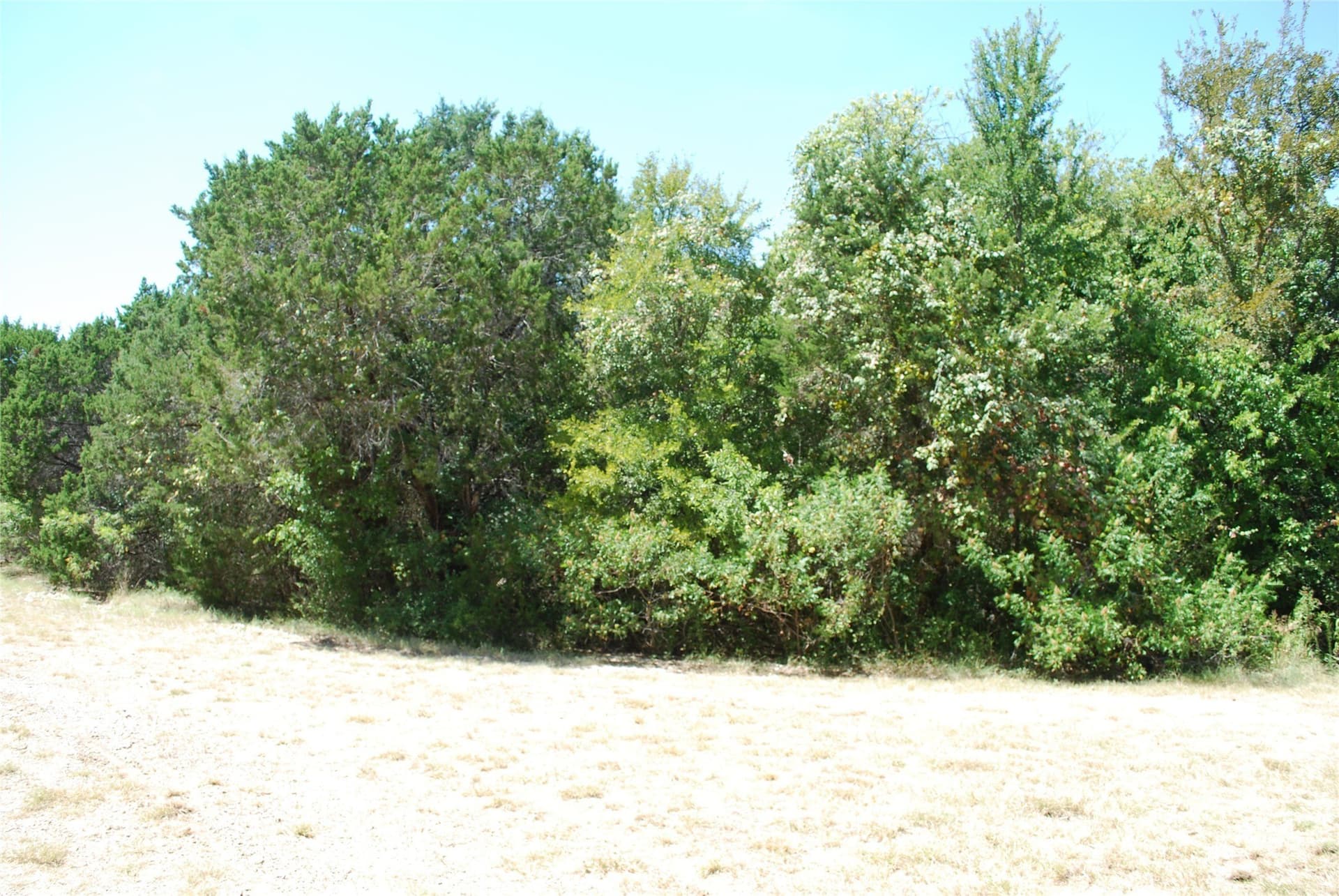 1.23 acres in Hill County - photo 4