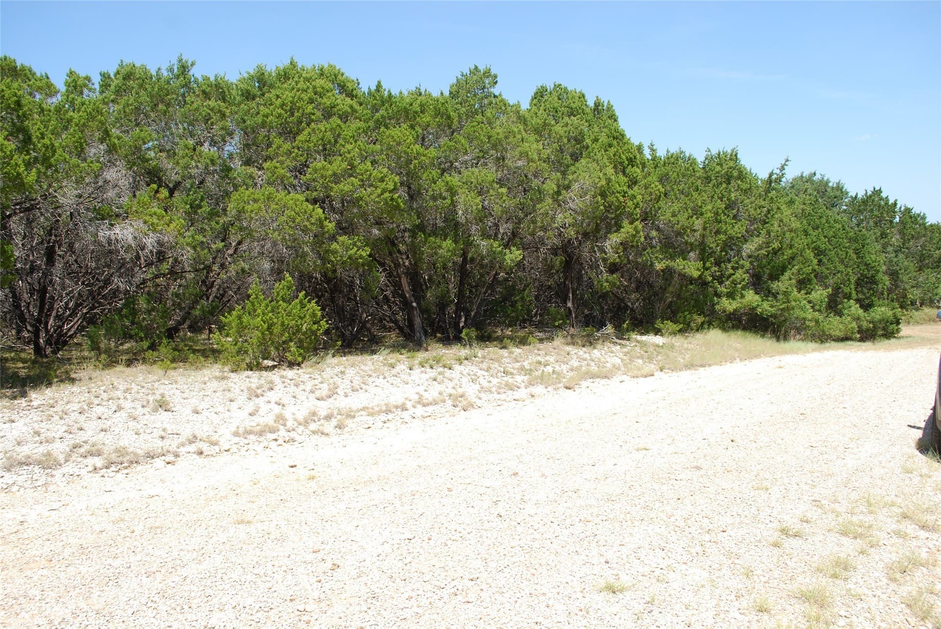 1.23 acres in Hill County - photo 8