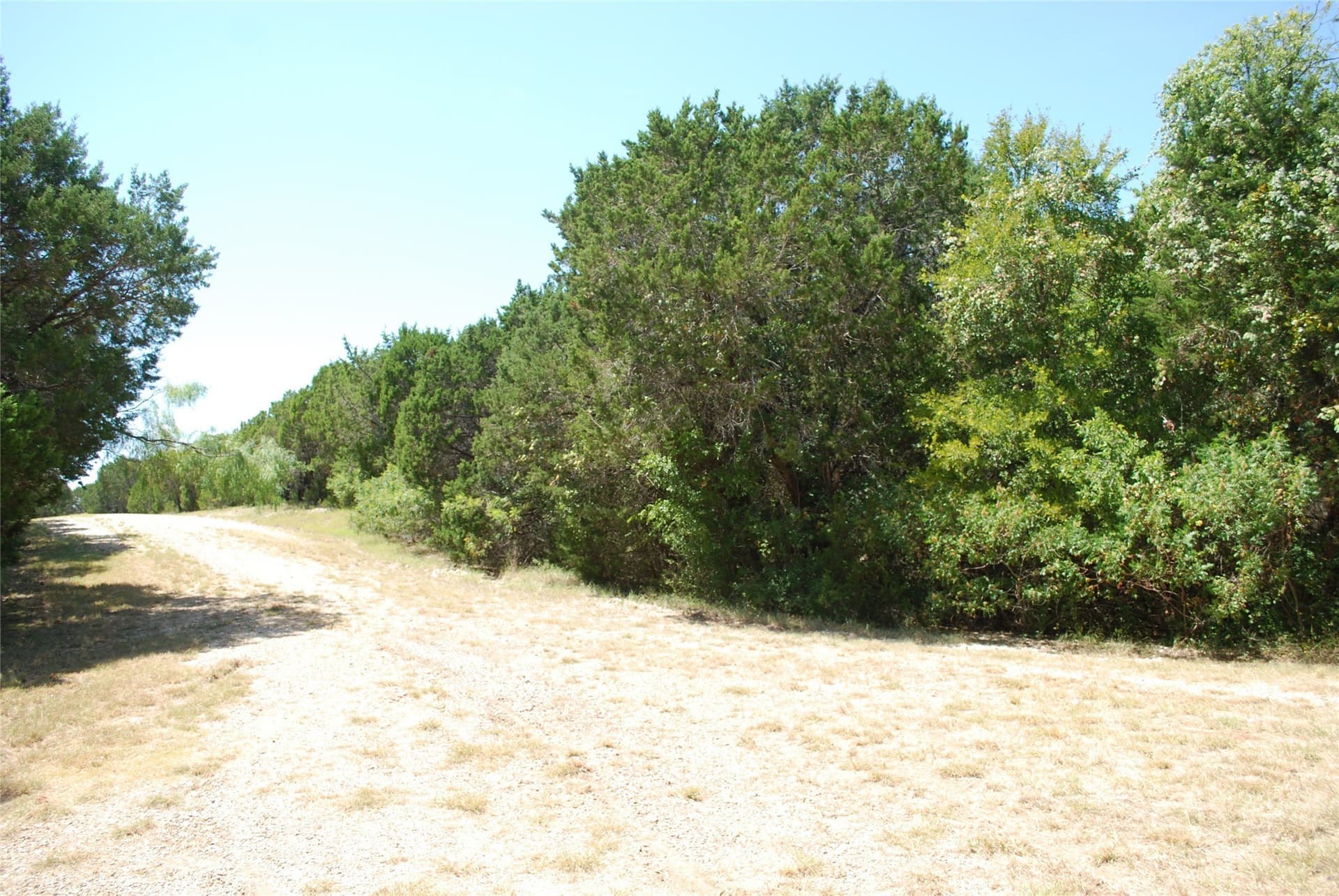 1.23 acres in Hill County - photo 5