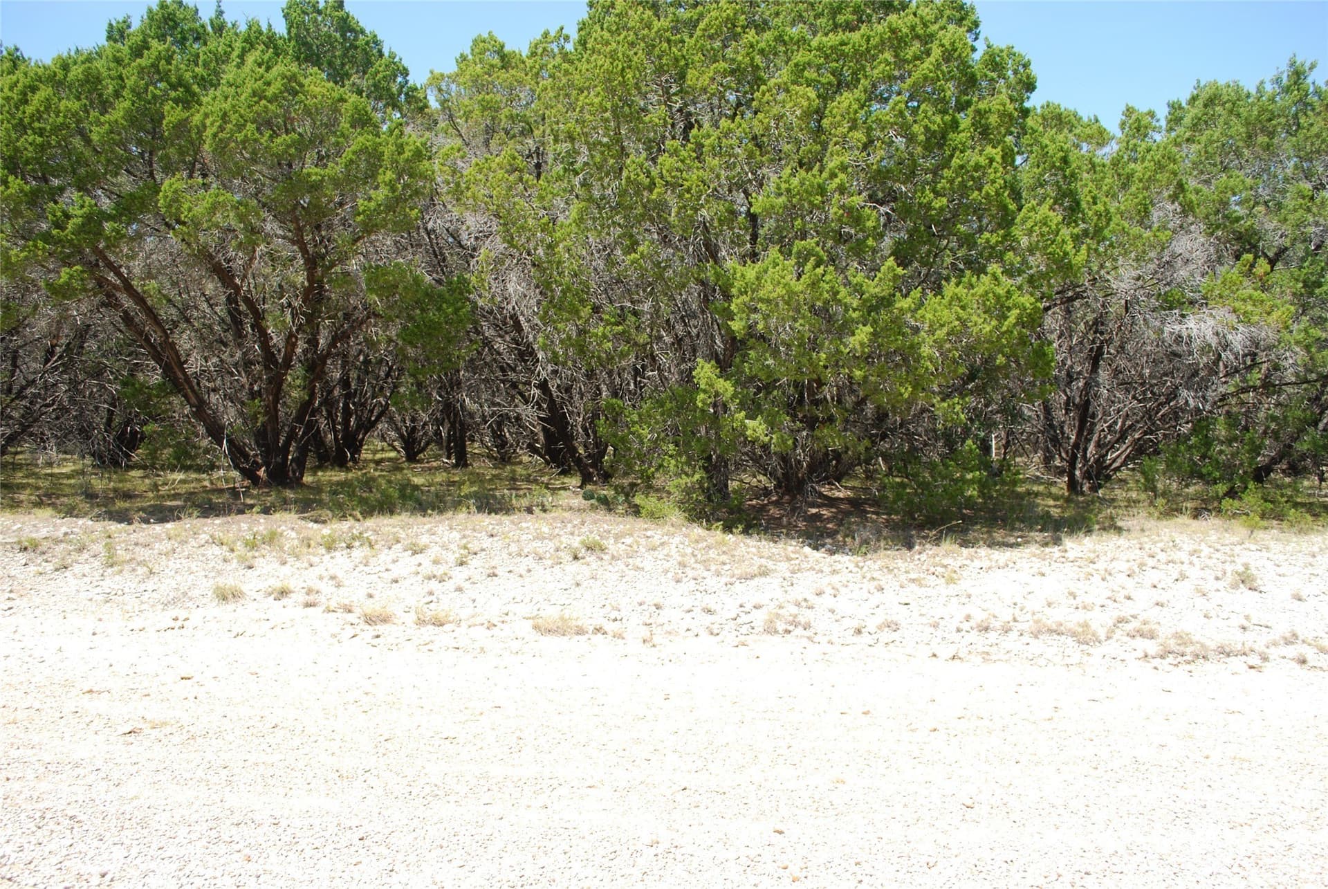 1.23 acres in Hill County - photo 6