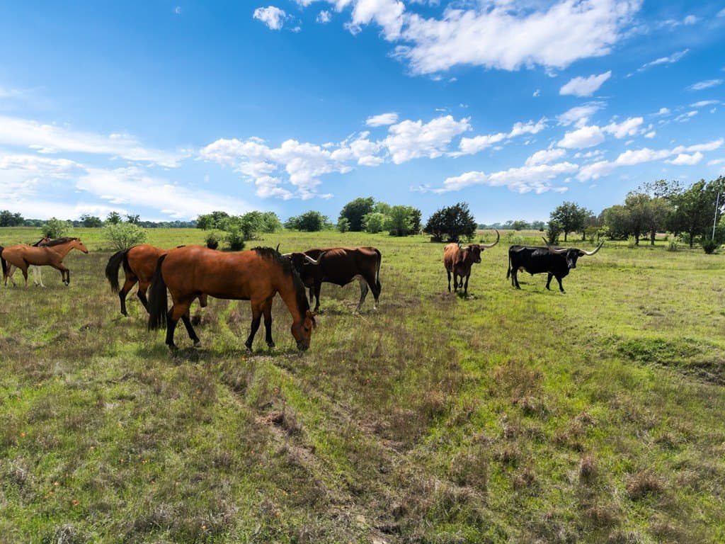 22.45 acres in Van Zandt County gallery image 4