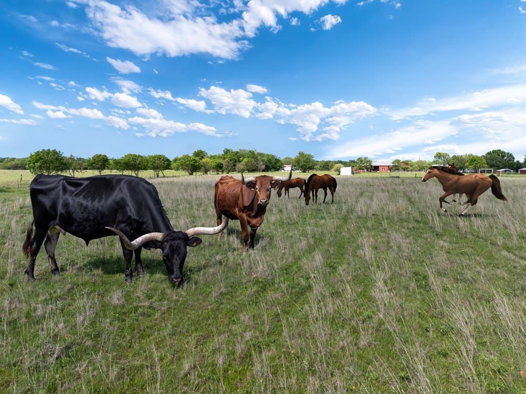 22.45 acres in Van Zandt County gallery image 3