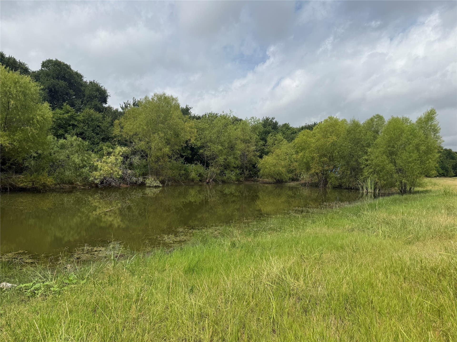 13.66 acres in Ellis County gallery image 2