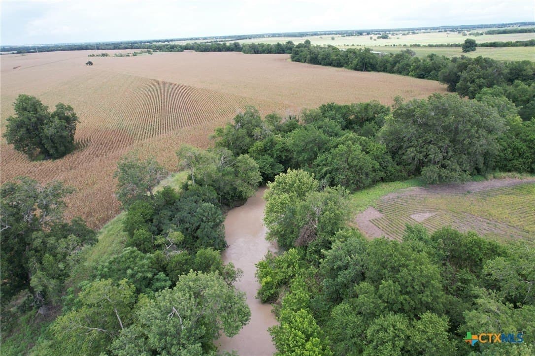 51.16 acres in Milam County gallery image 3