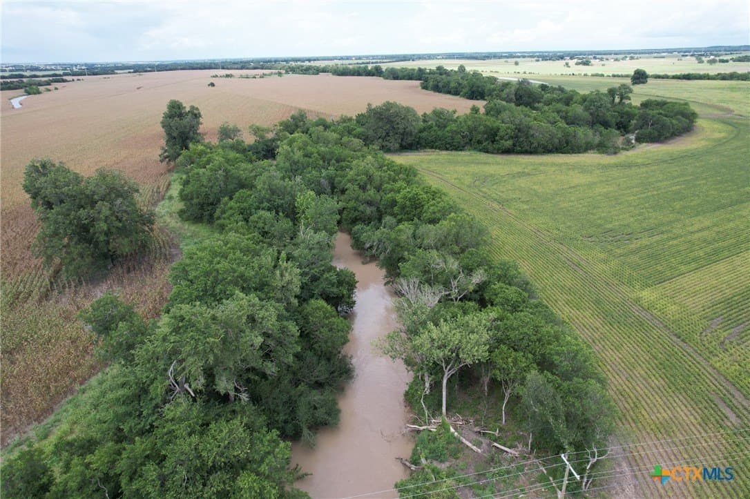 51.16 acres in Milam County gallery image 2