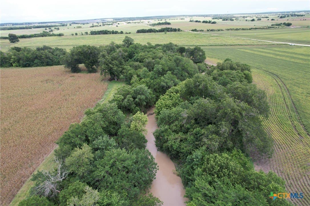 51.16 acres in Milam County gallery image 4