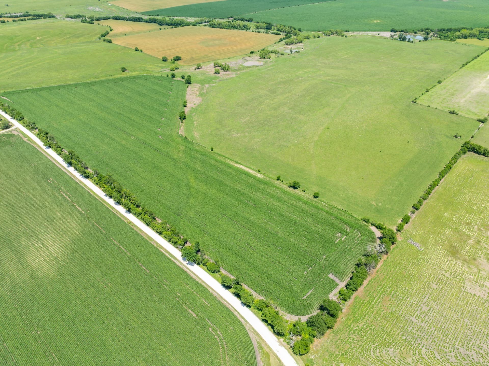 78 acres in Falls County - photo 16