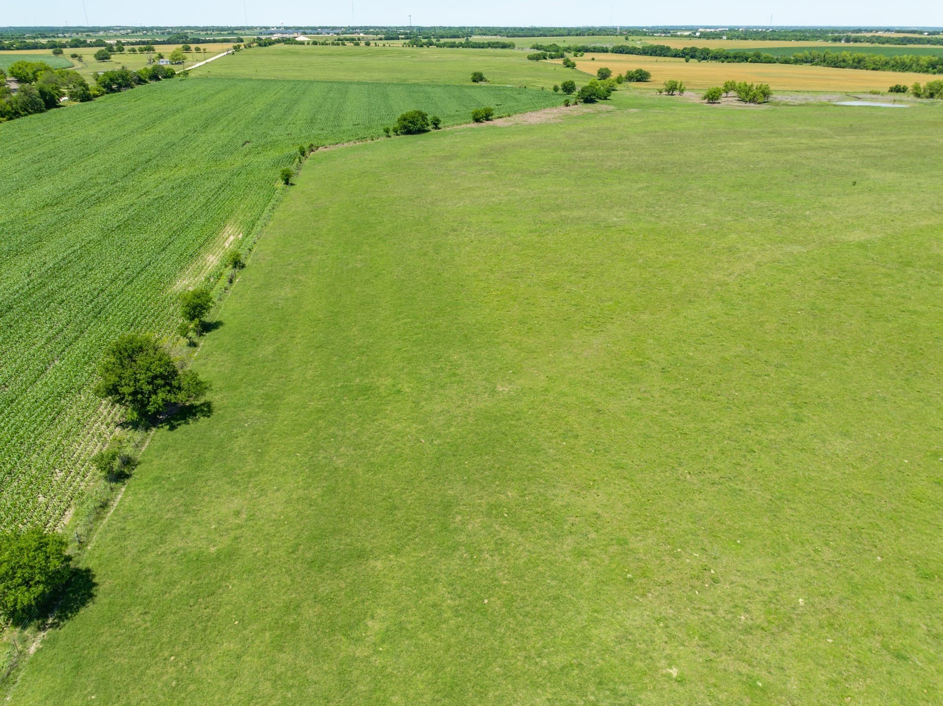 78 acres in Falls County - photo 10