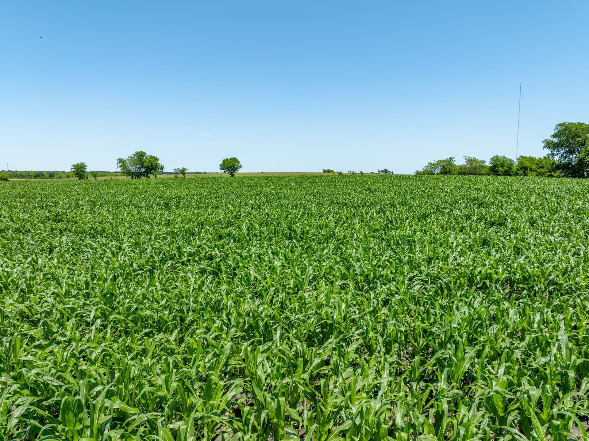 78 acres in Falls County - photo 18