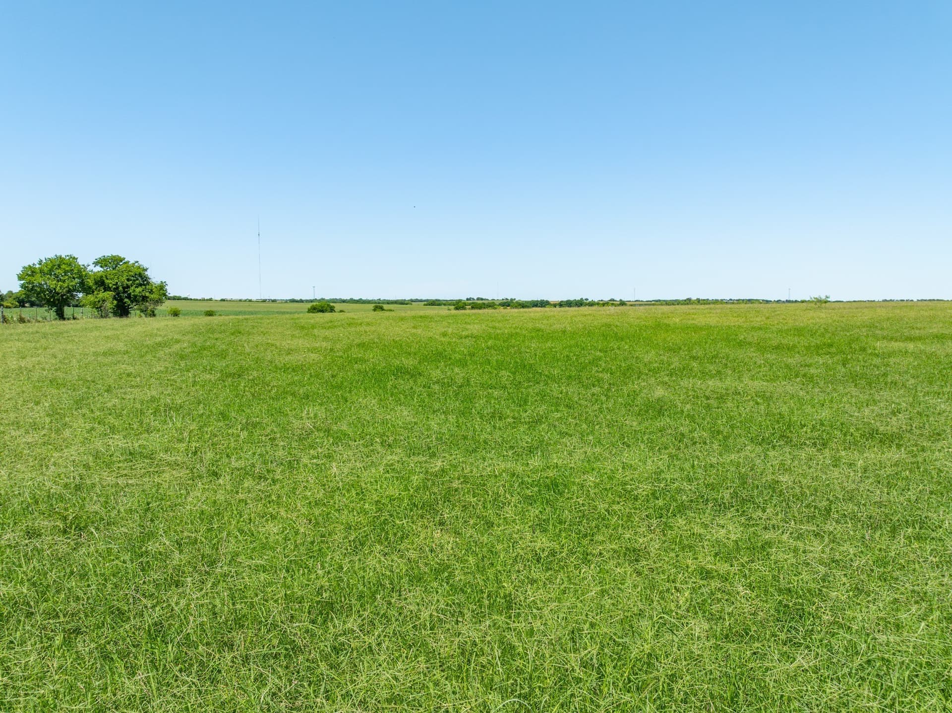 78 acres in Falls County - photo 9