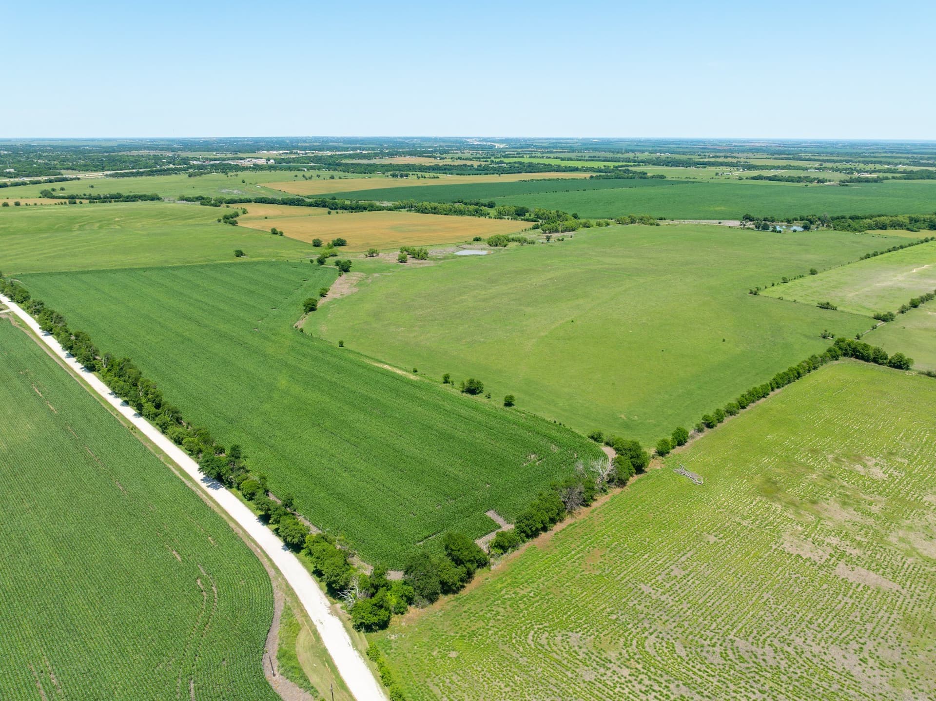 78 acres in Falls County - photo 12
