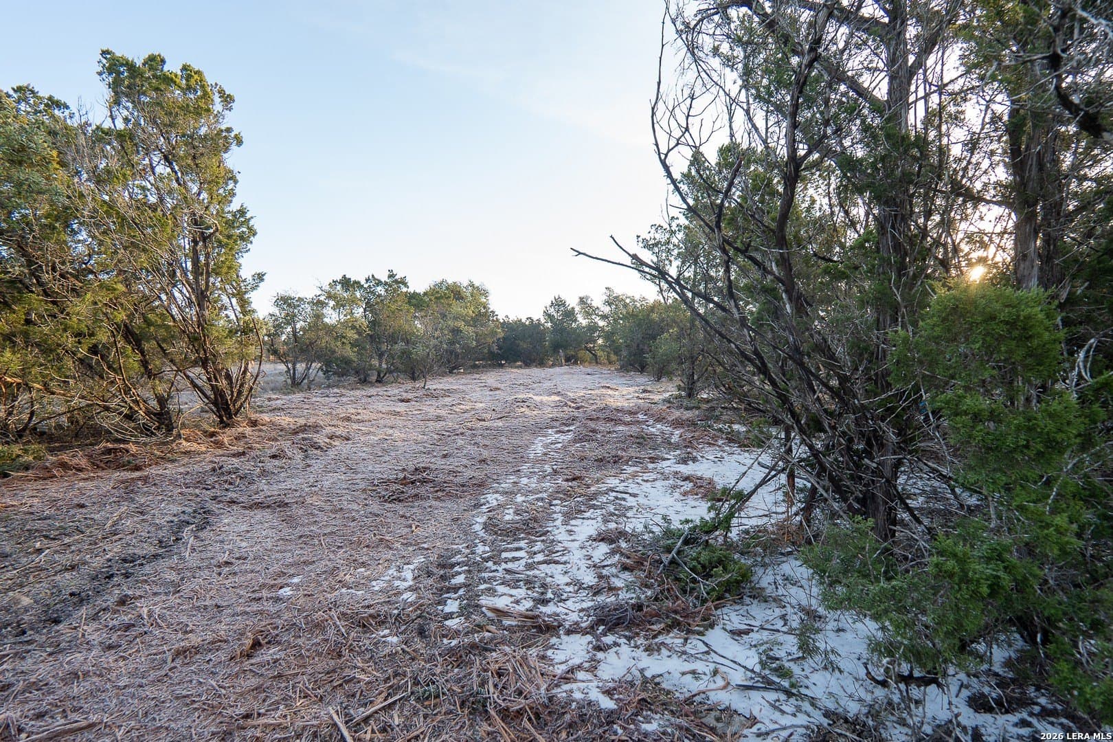 0.22 acres in Comal County - photo 7