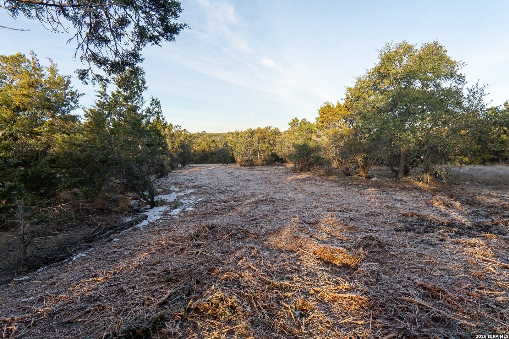 0.22 acres in Comal County gallery image 3