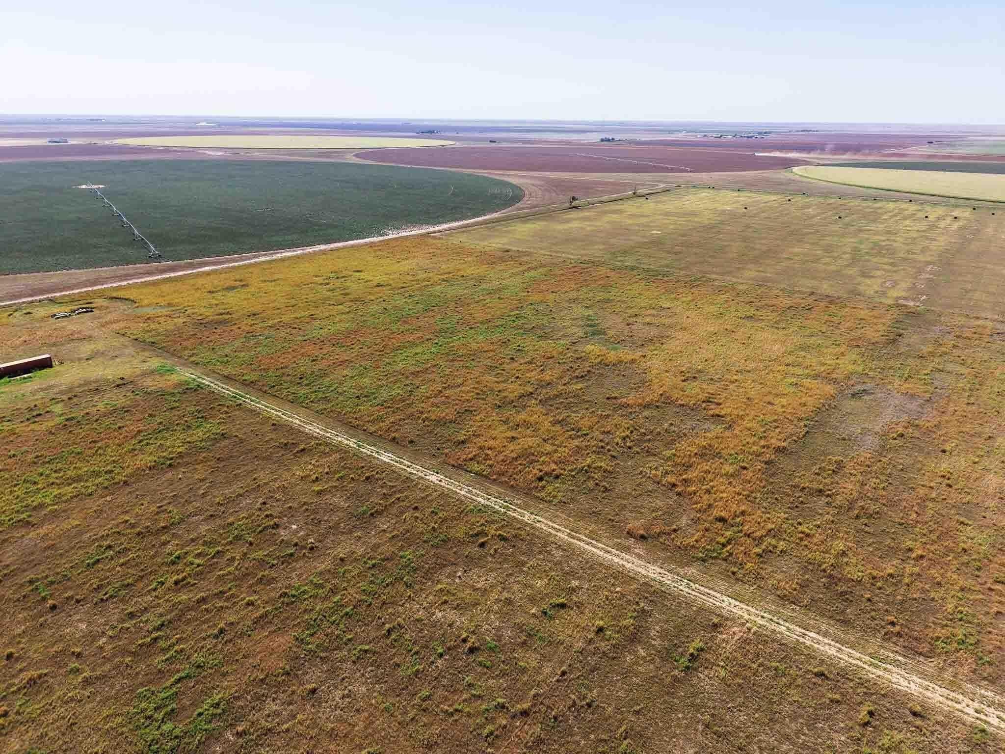 19.94 acres in Deaf Smith County gallery image 4