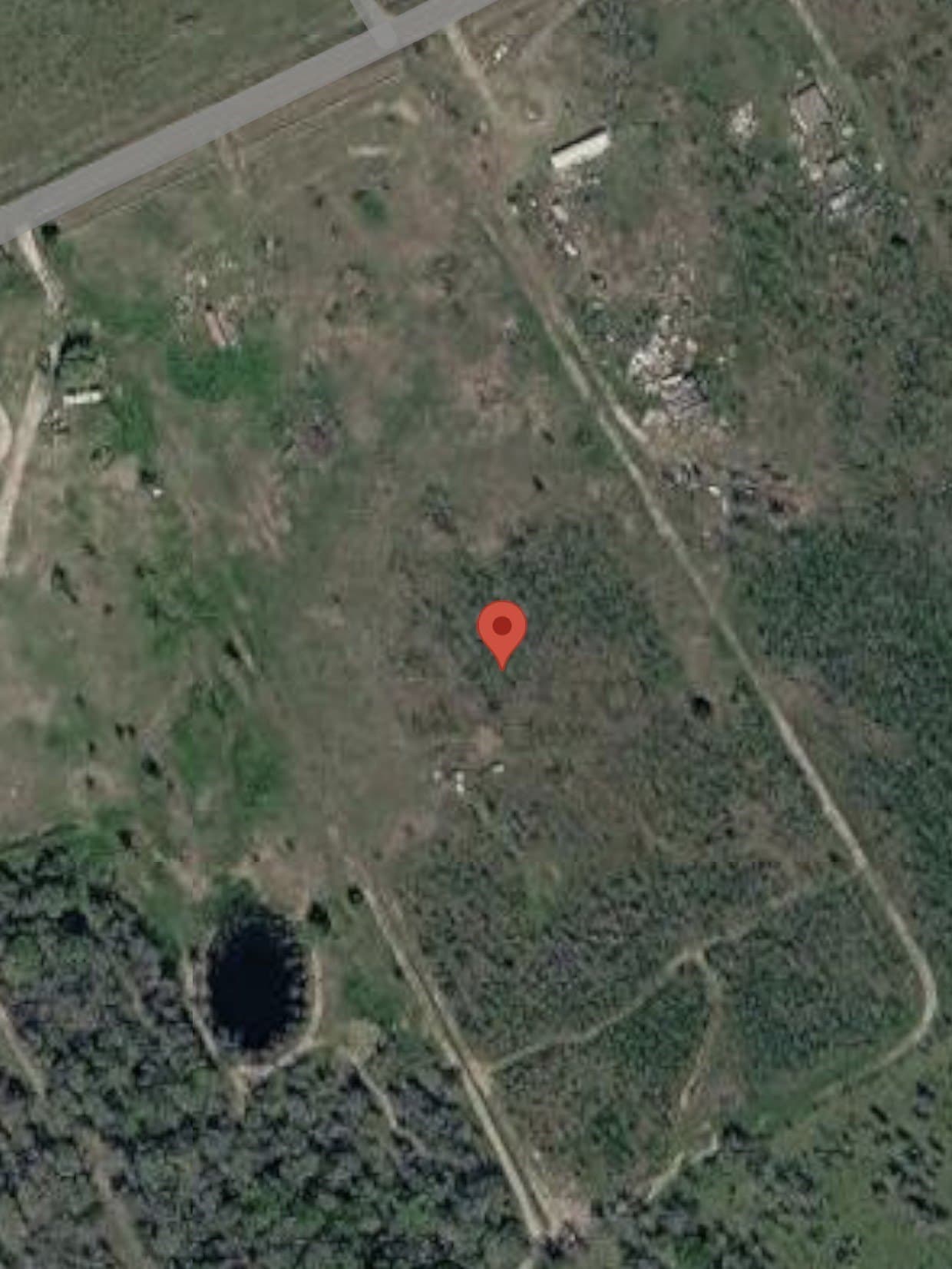 11.85 acres in Navarro County gallery image 2