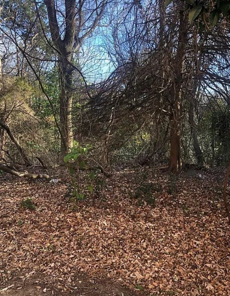 0.13 acres in Rockwall County - photo 6