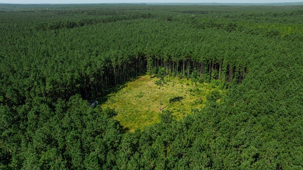 34.11 acres in Texas County - photo 10