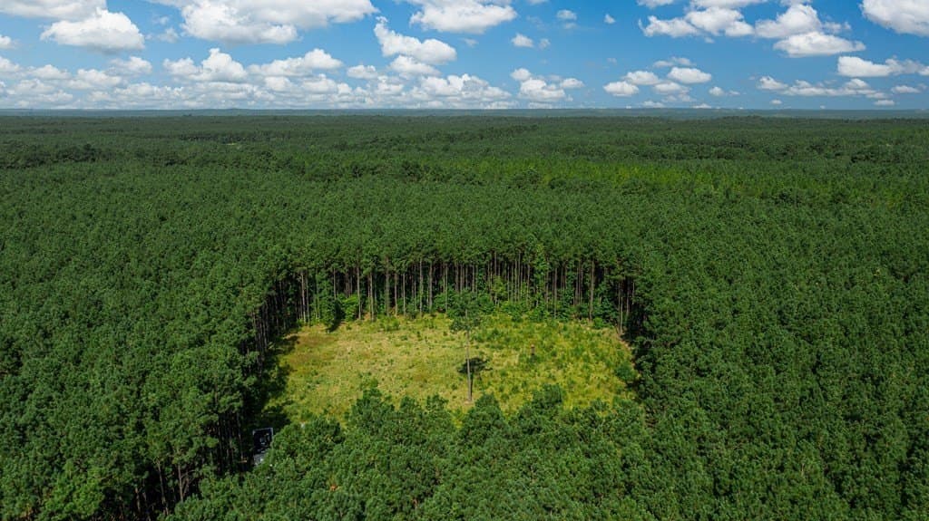 34.11 acres in Texas County - photo 9