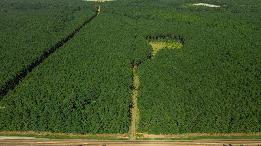 34.11 acres in Texas County - photo 13