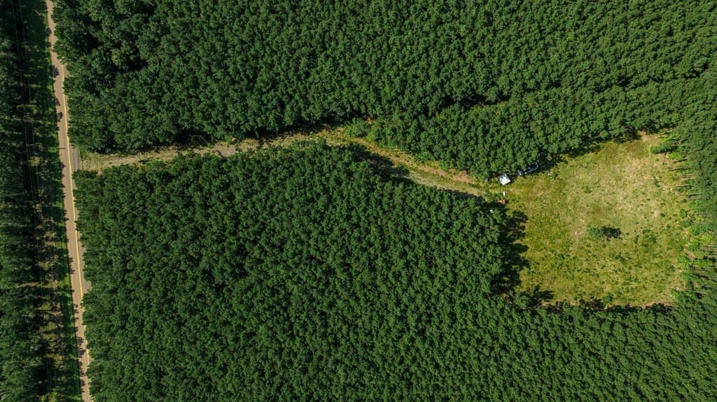 34.11 acres in Texas County - photo 16