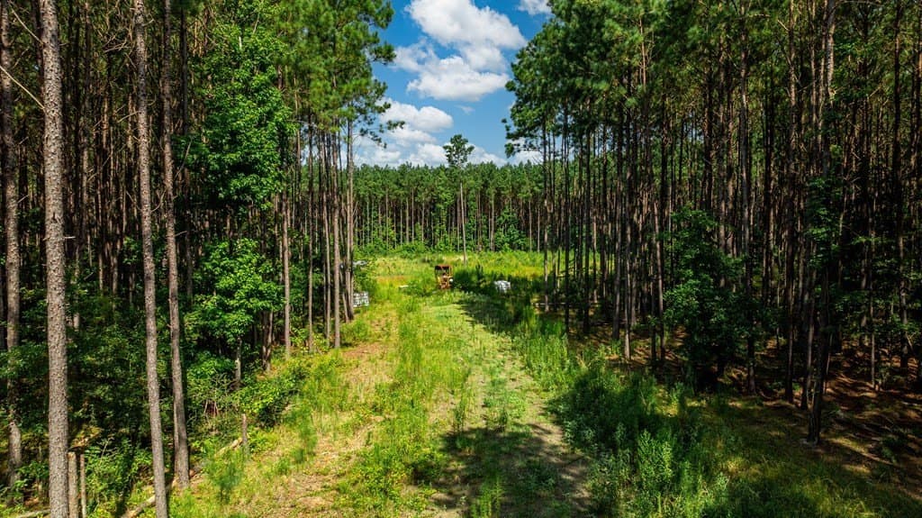 34.11 acres in Texas County featured view