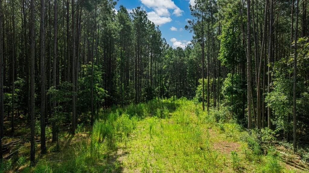 34.11 acres in Texas County