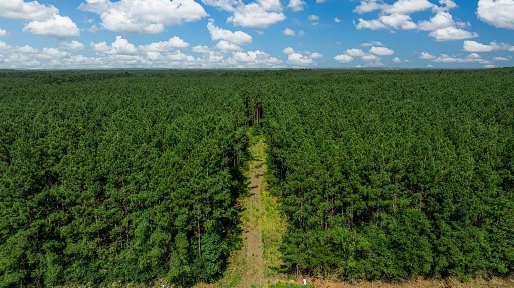 34.11 acres in Texas County - photo 8