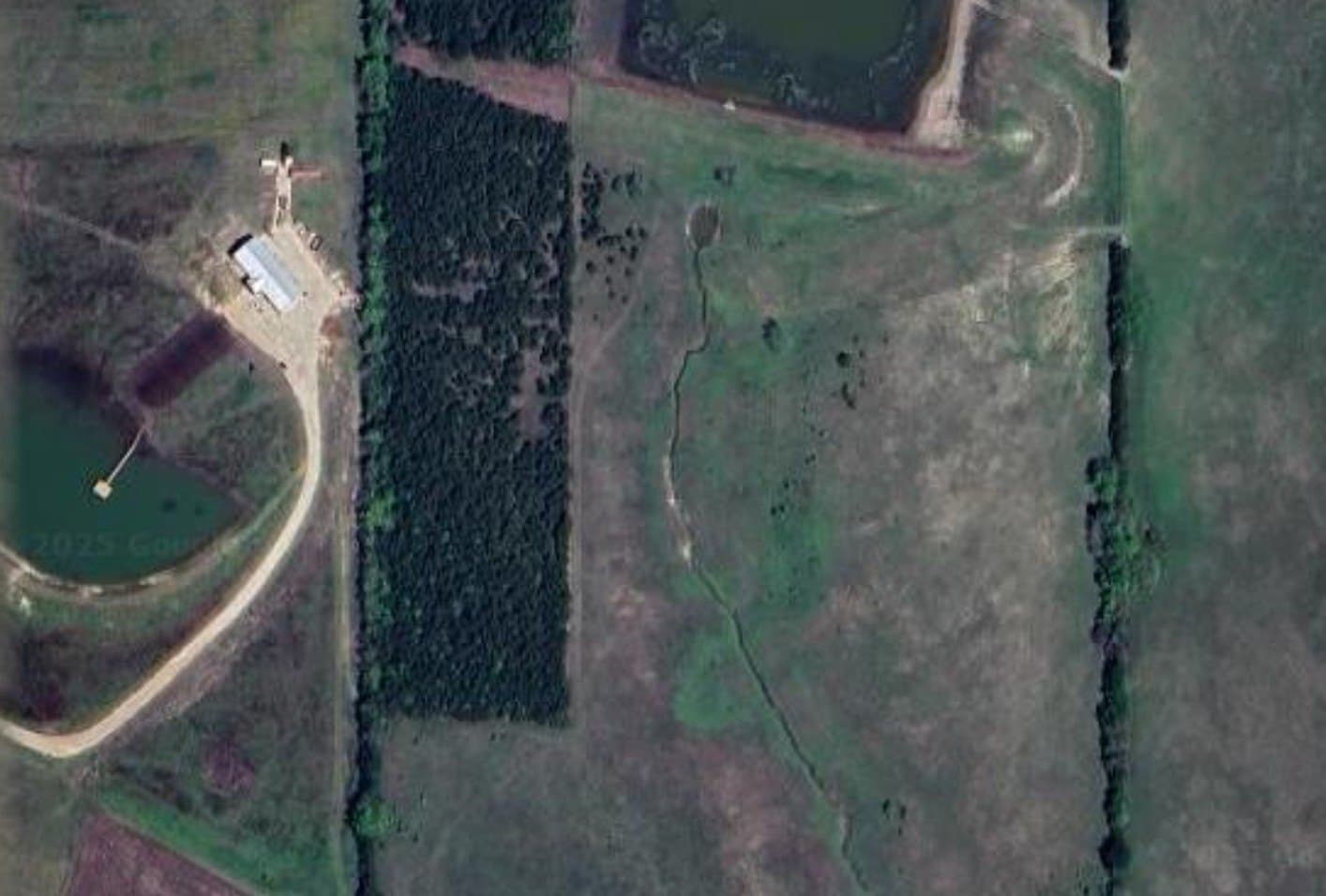 10.01 acres in Lamar County