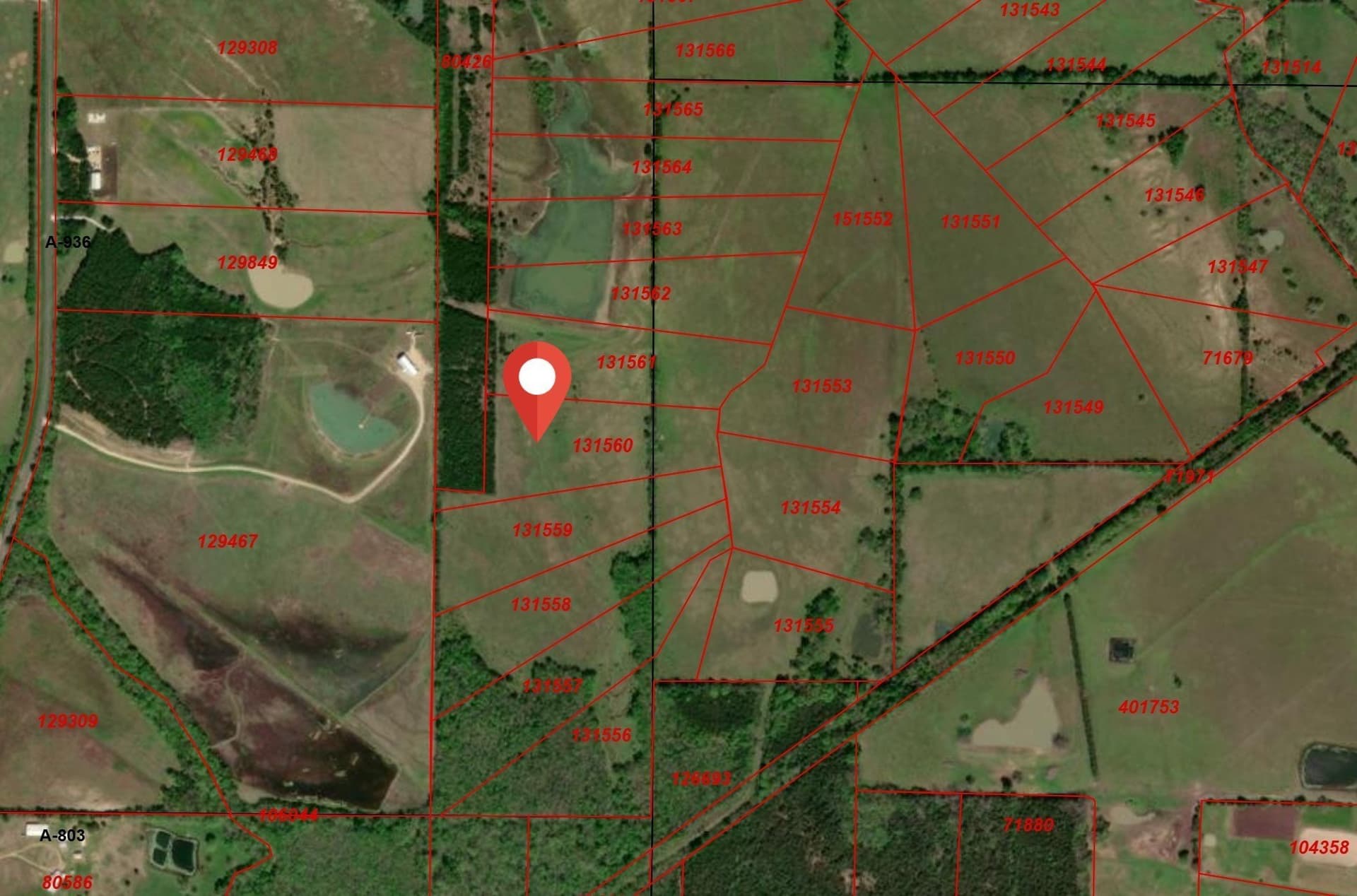 10.01 acres in Lamar County gallery image 2