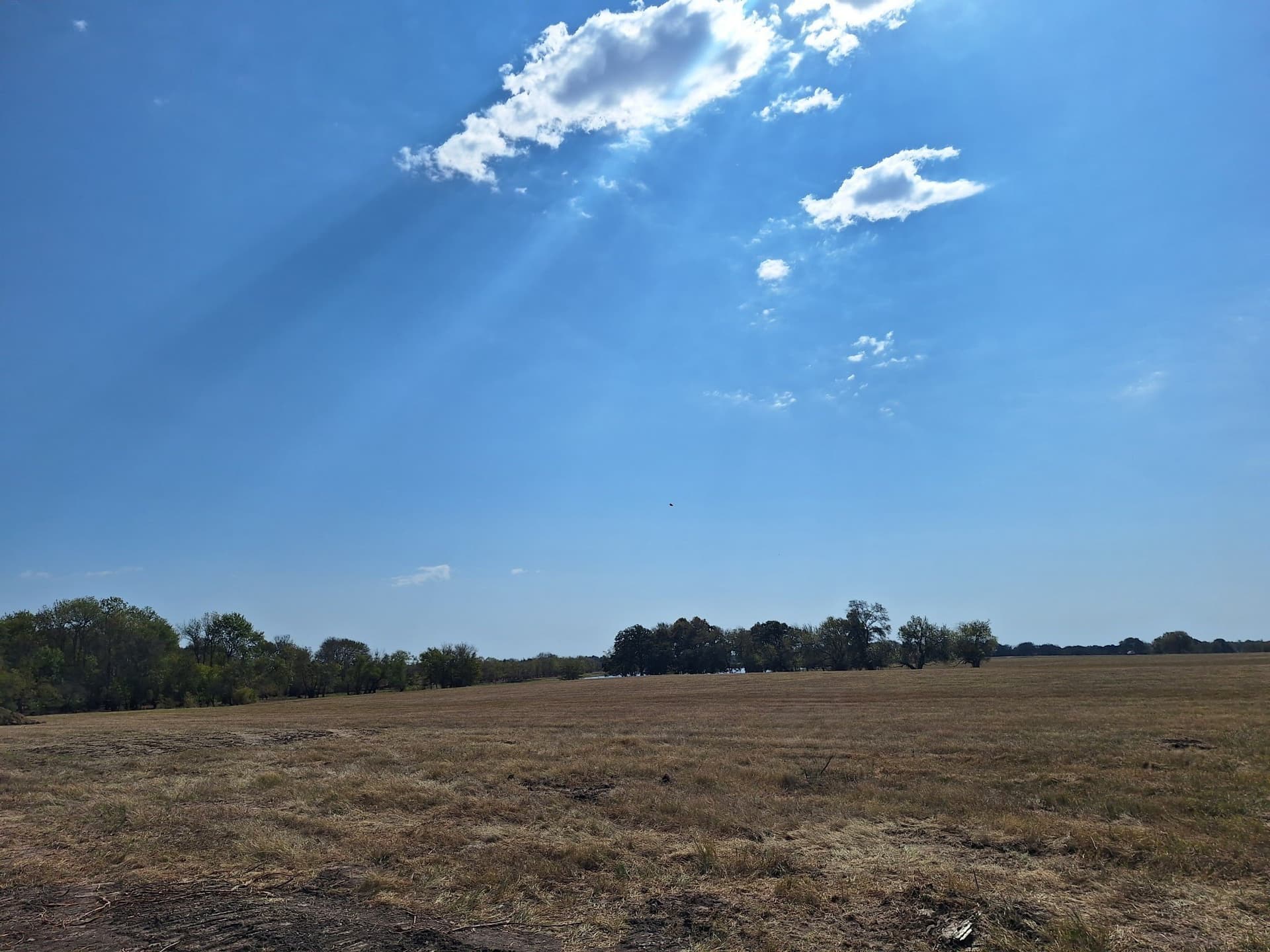 10.01 acres in Lamar County featured view