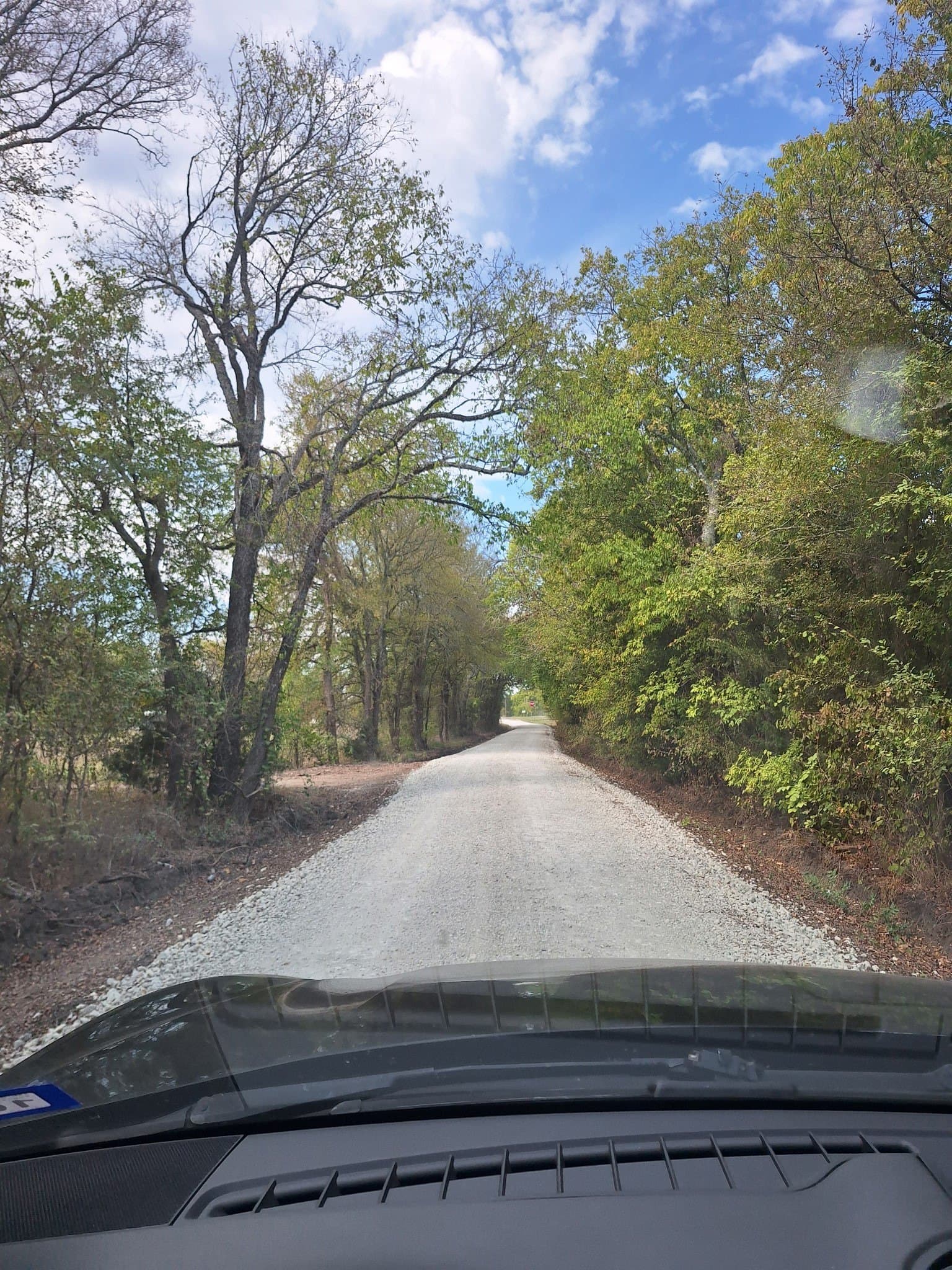 10.01 acres in Lamar County gallery image 4