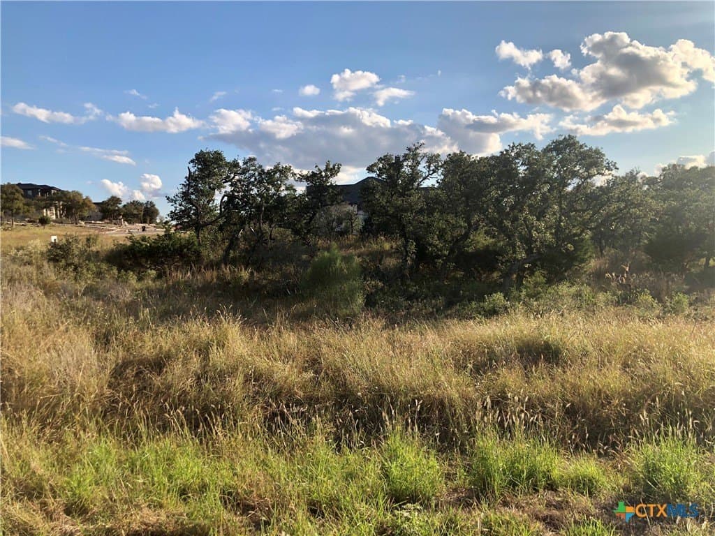 1.02 acres in Comal County gallery image 3
