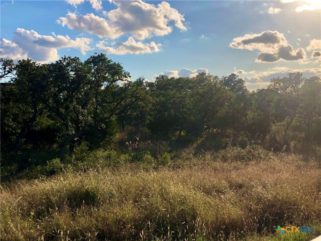 1.02 acres in Comal County gallery image 4