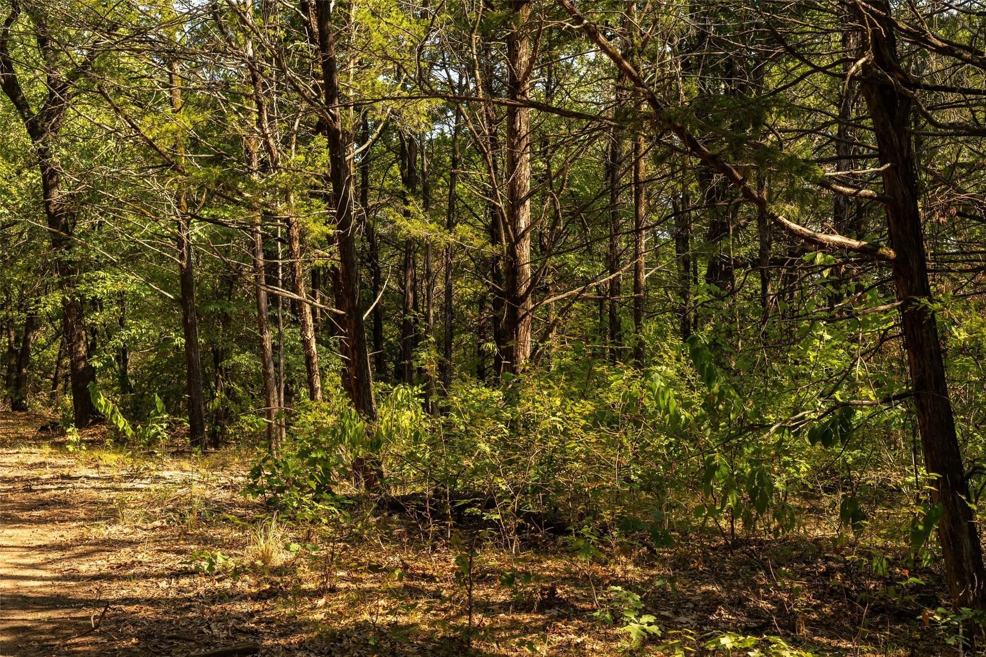 4 acres in Grayson County - photo 3