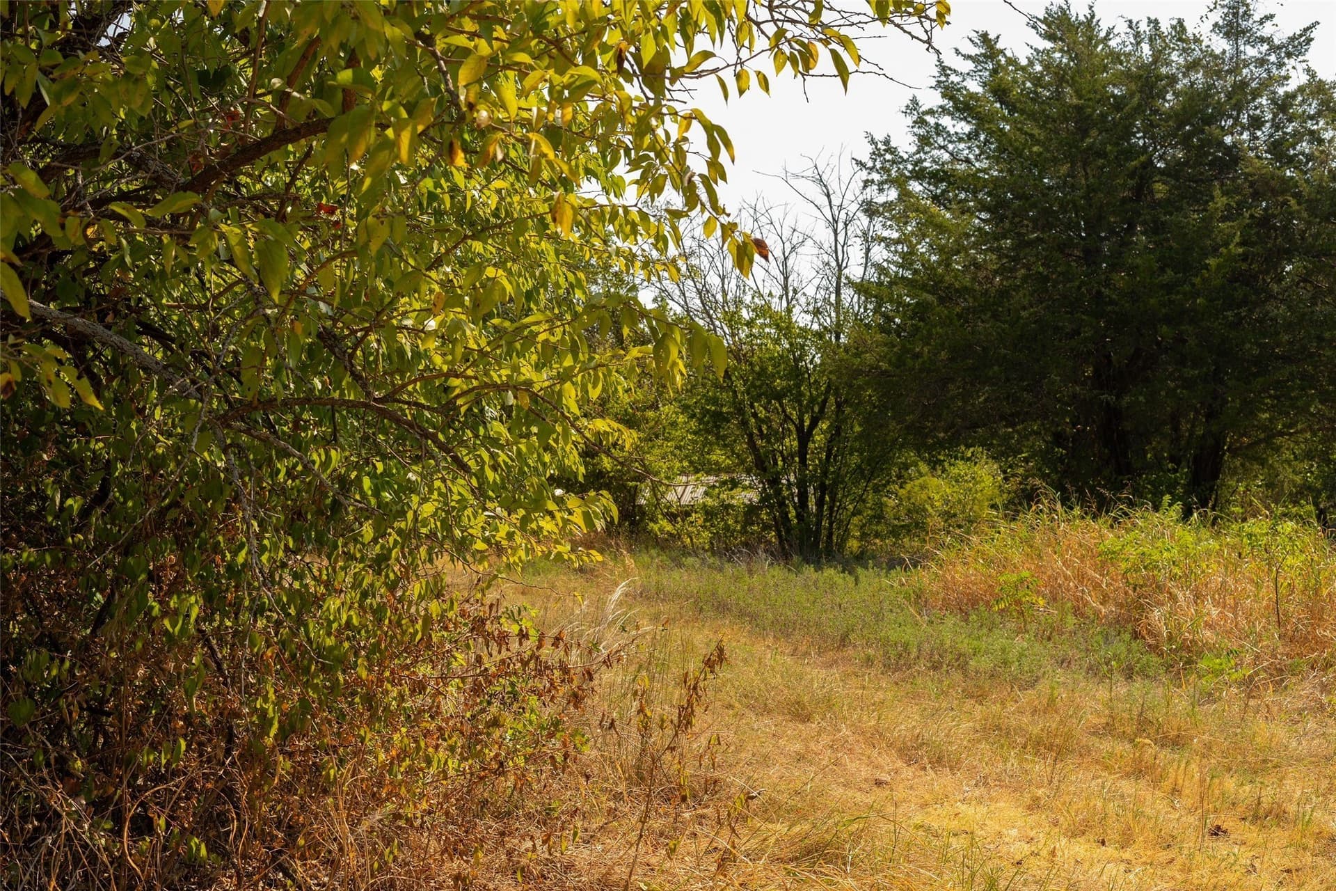 4 acres in Grayson County - photo 6