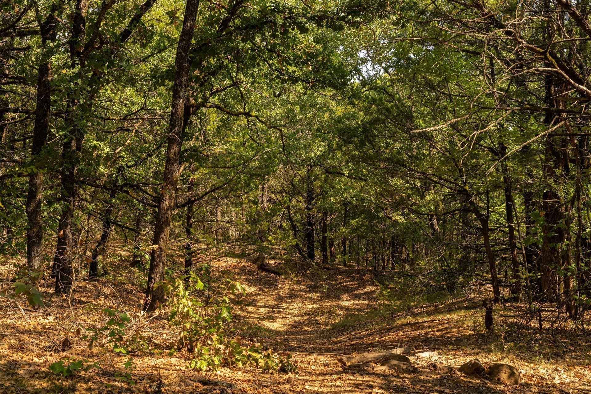 4 acres in Grayson County - photo 4