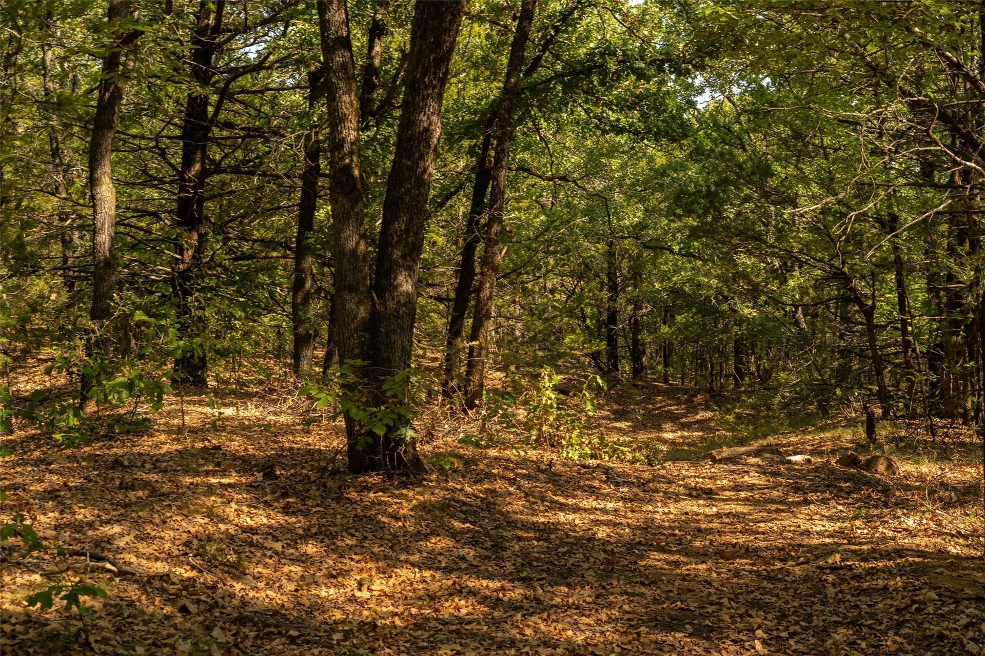4 acres in Grayson County - photo 2