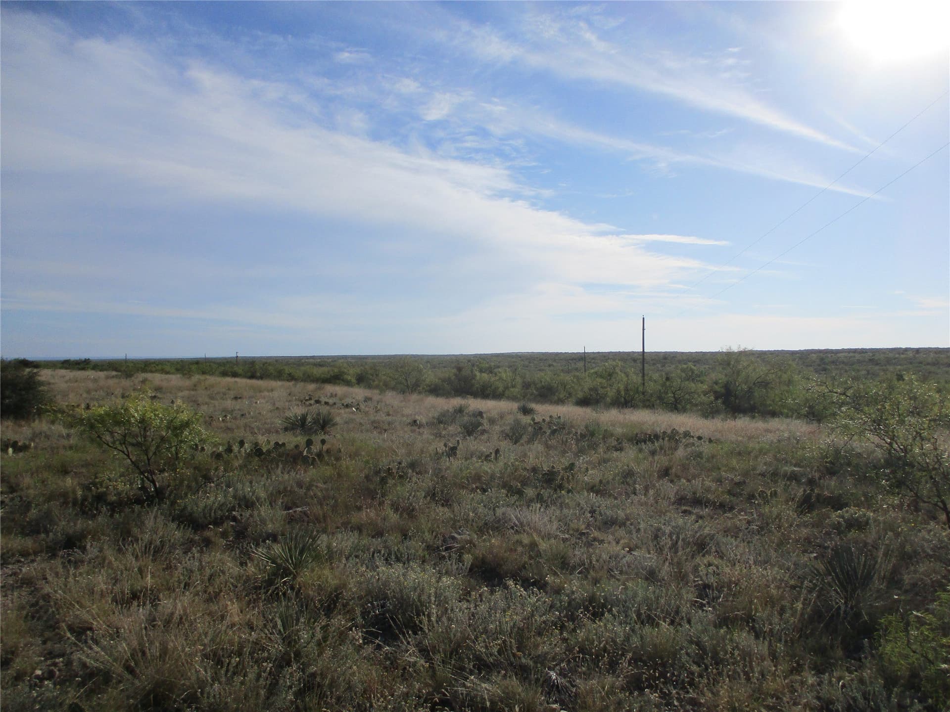 722.23 acres in Runnels County - photo 23
