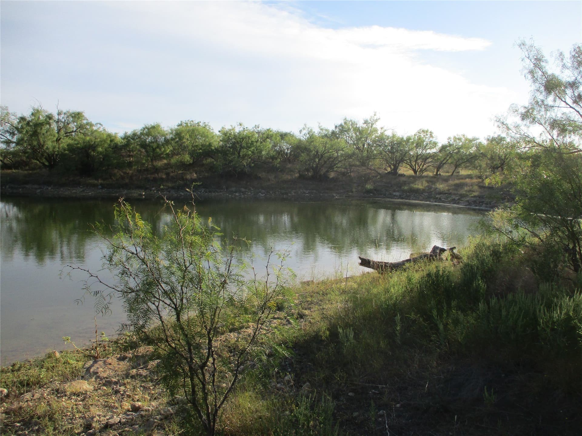722.23 acres in Runnels County gallery image 4