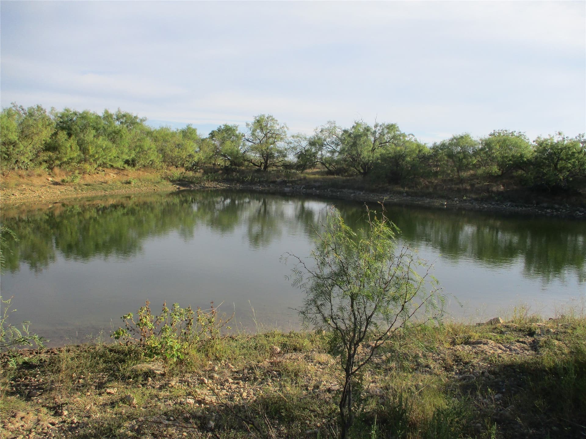 722.23 acres in Runnels County gallery image 3