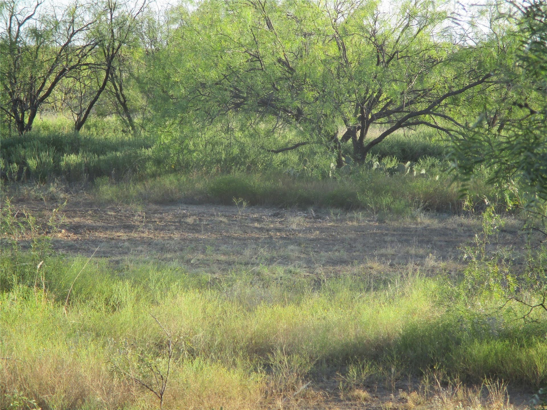 722.23 acres in Runnels County featured view
