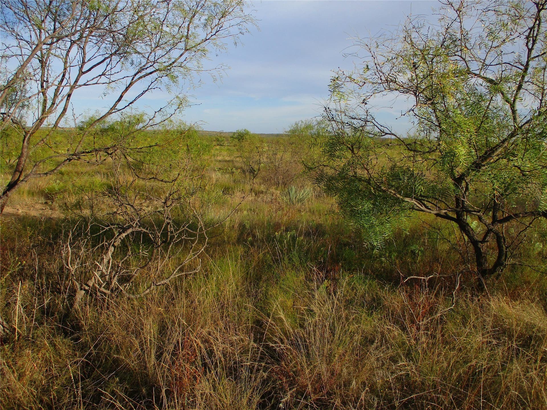 722.23 acres in Runnels County - photo 9