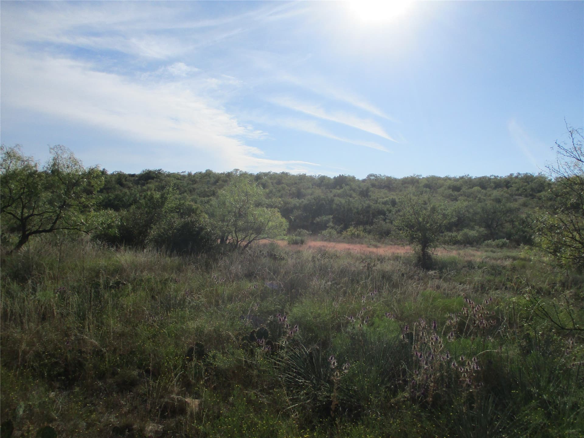 722.23 acres in Runnels County - photo 16